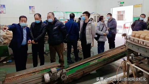 陜西省食用菌產業技術體系專家走進眾興高科