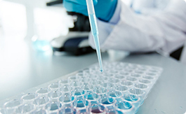 上海賢鼎生物科技